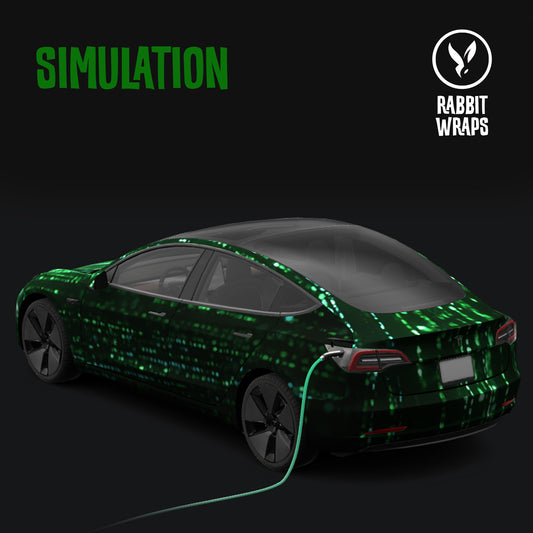 SIMULATION