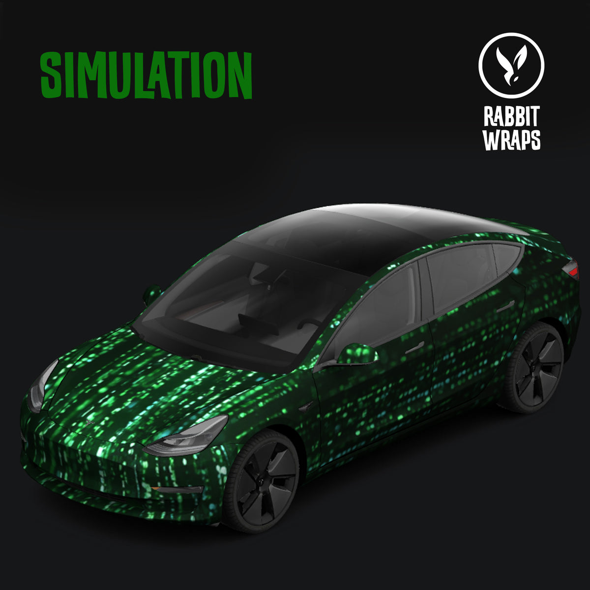 SIMULATION