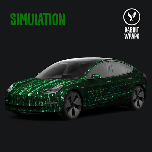SIMULATION