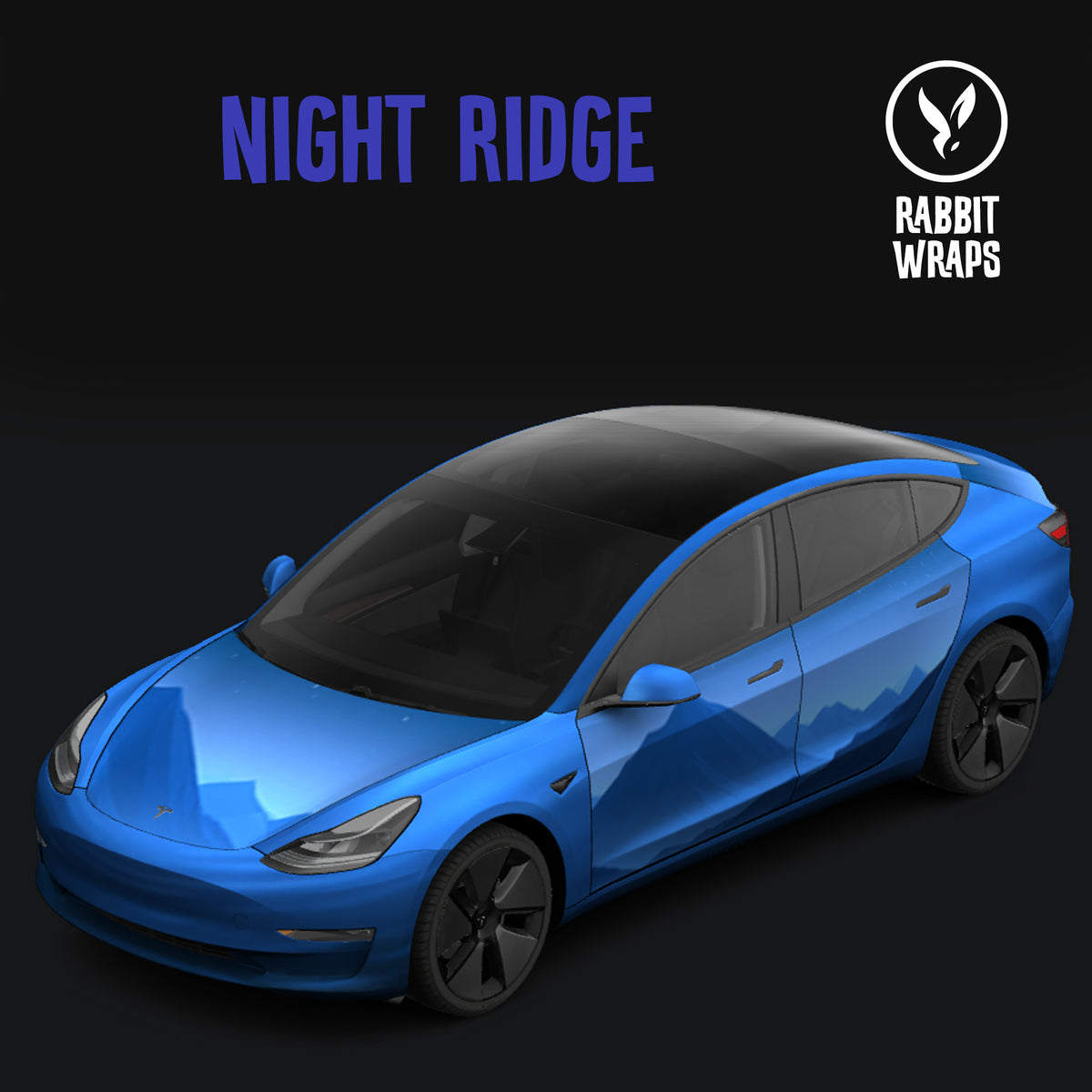 NIGHT RIDGE